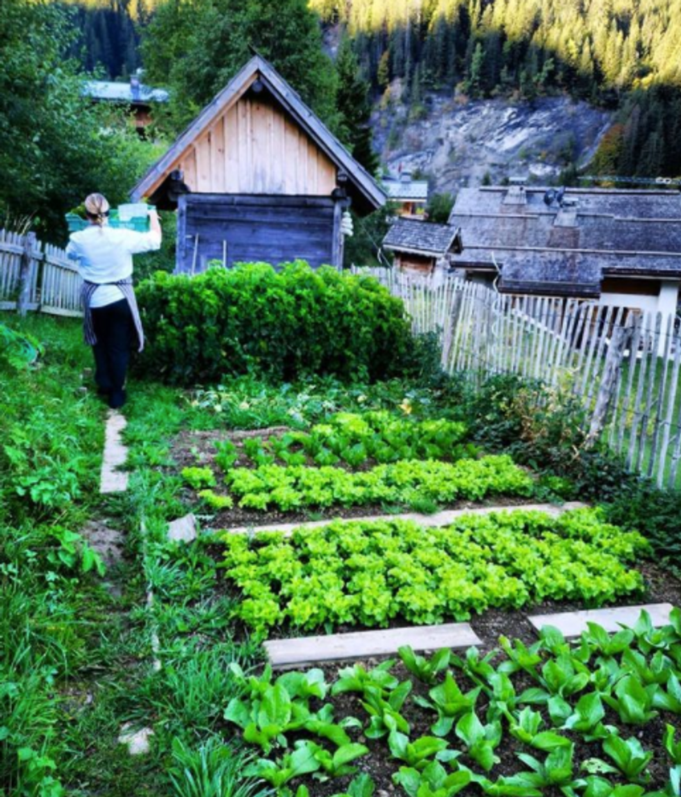 Photo of a chef walking in Flocon de Sel's vegetable garden