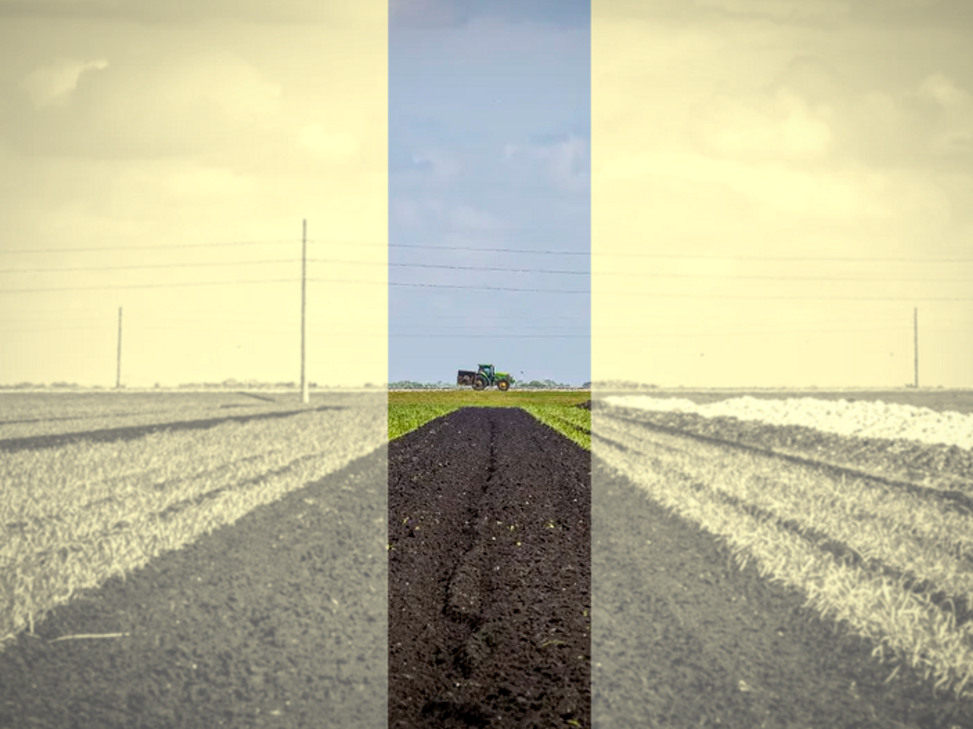 Photo of a field with a tractor in the distance