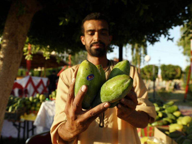 Photo of a man at a market in Aswan, Egypt, holding several mangoes in his hand.