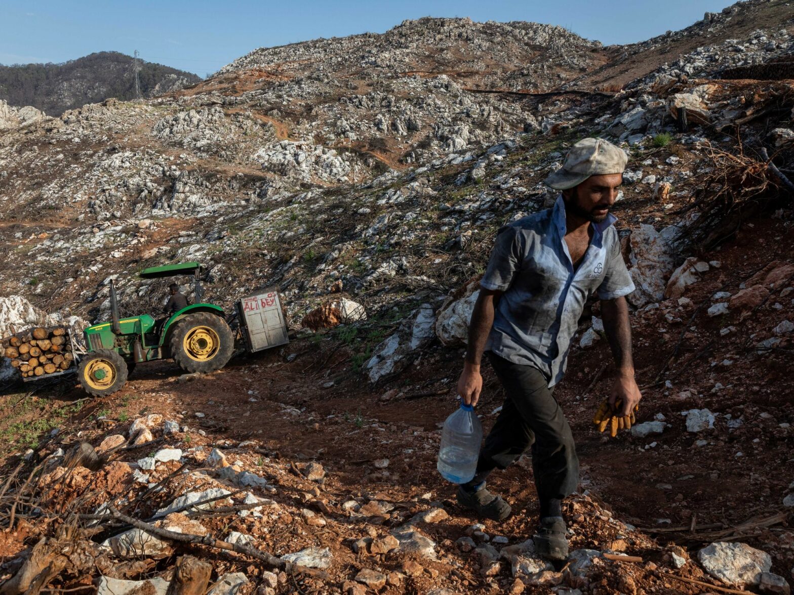 Photo of a man in a burnt forest in Turkey.