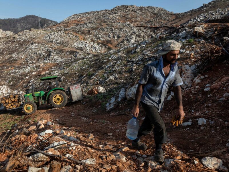 Photo of a man in a burnt forest in Turkey.