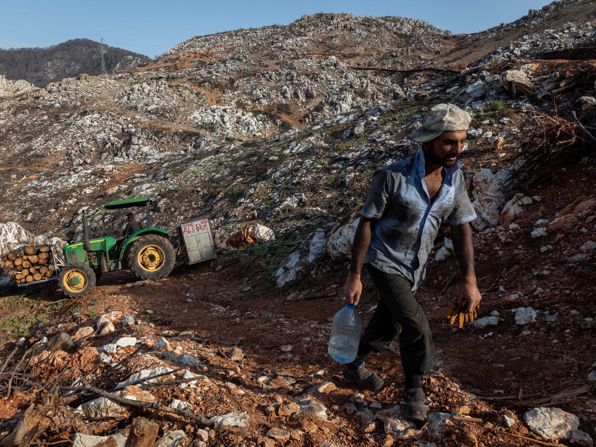 Photo of a man in a burnt forest in Turkey.
