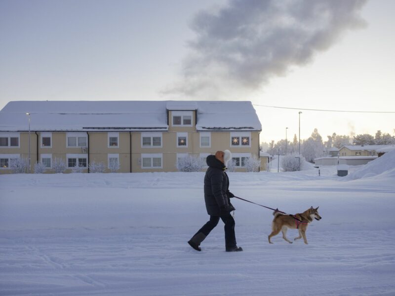 photo of a man in snow walking dog