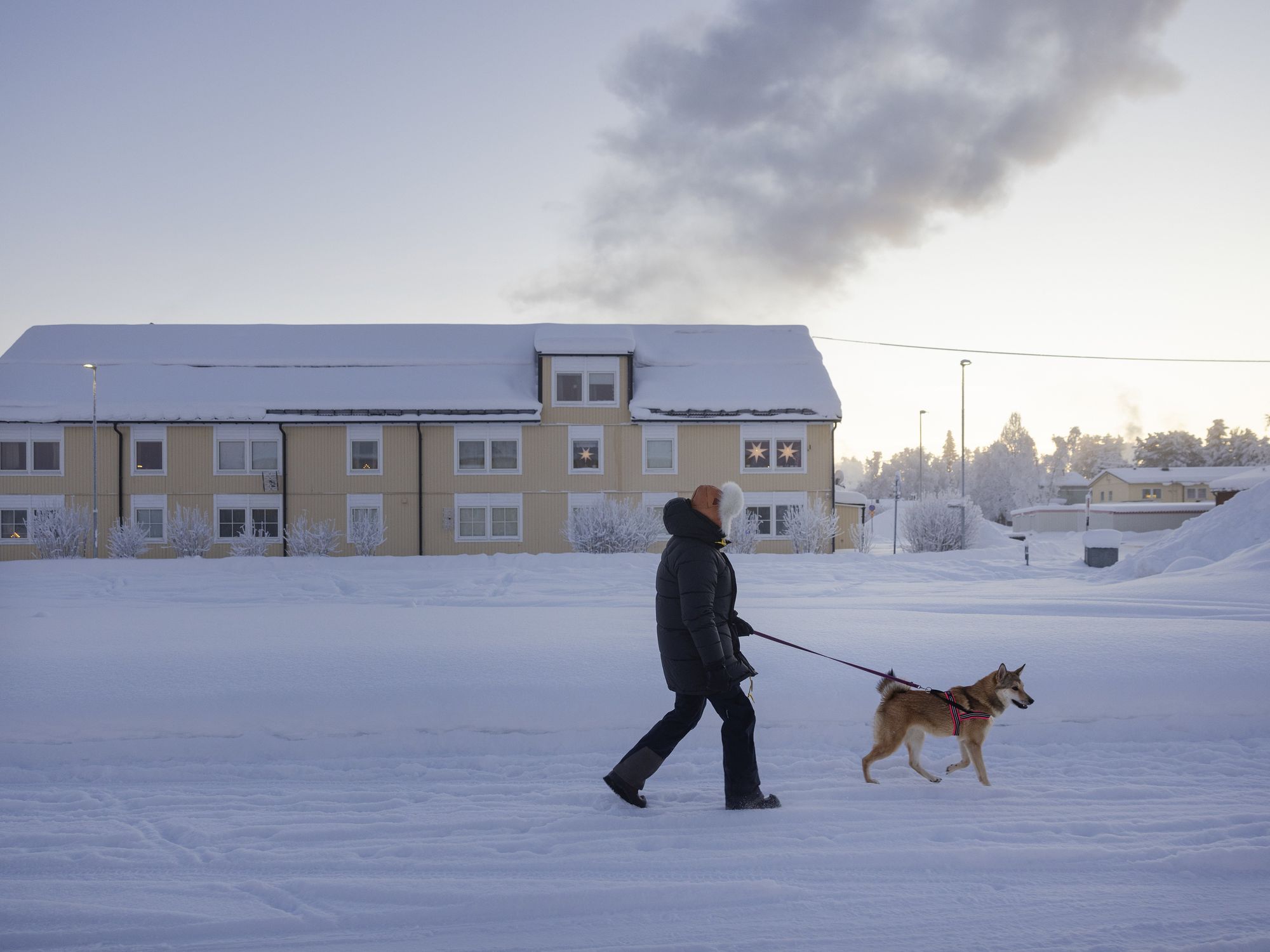 photo of a man in snow walking dog