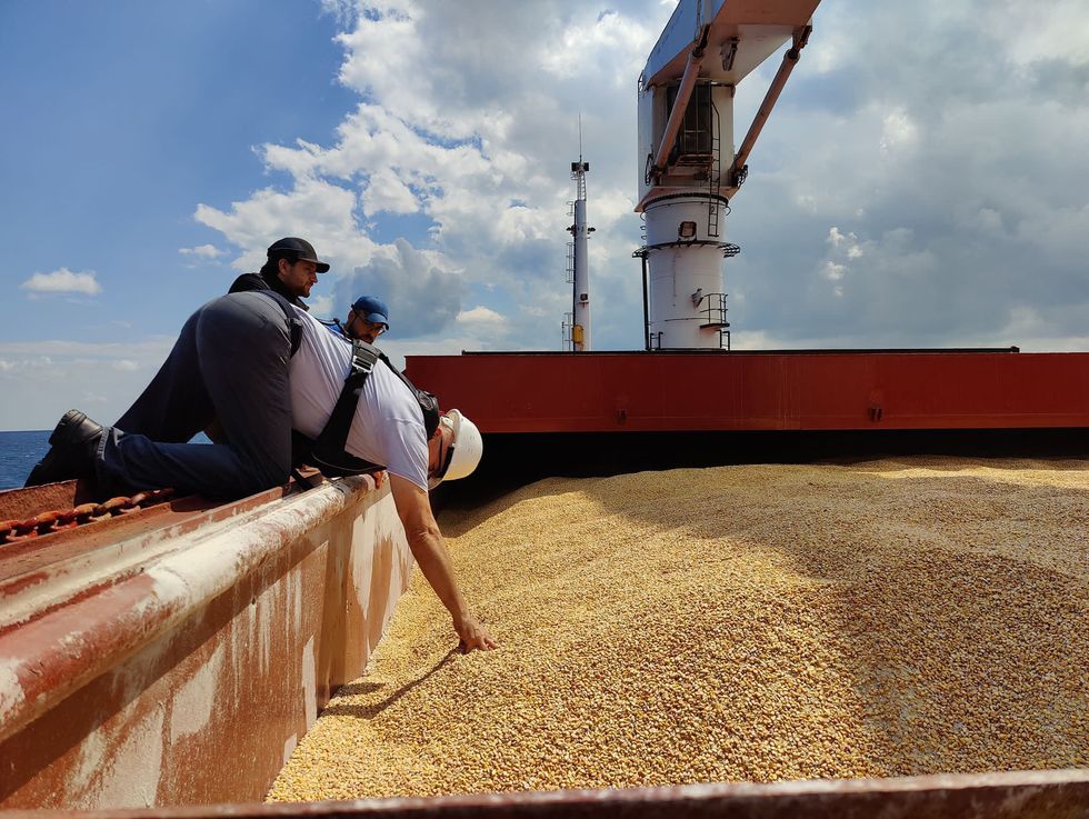 Photo of a man running his hand through a shipment of grain during inspection as ships rom Ukraine arrive in Istanbul, Turkey.