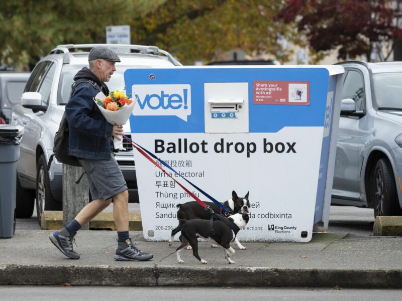 photo of a man walking 2 dogs in front of ballot drop box
