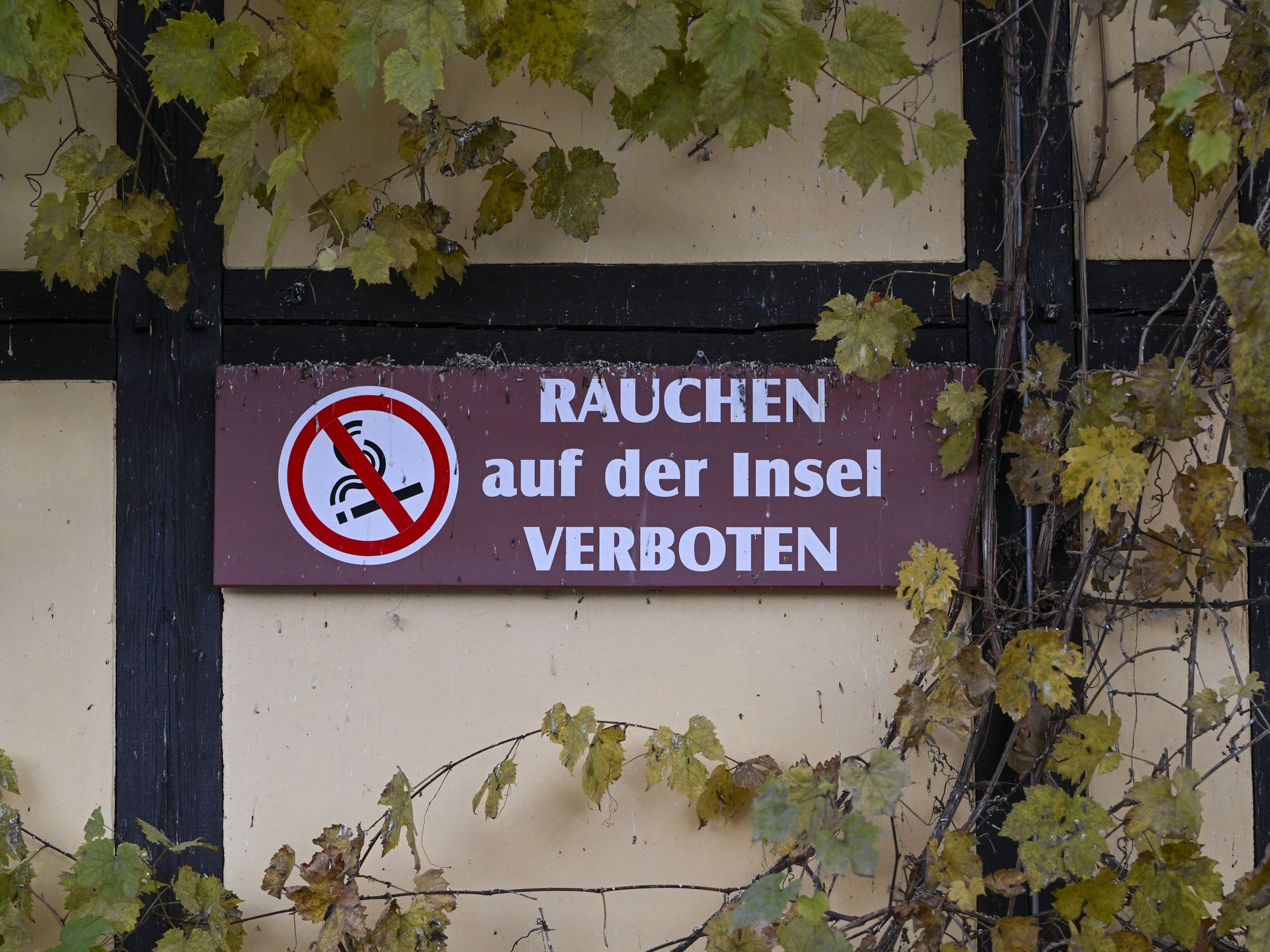 photo of a no smoking sign in german