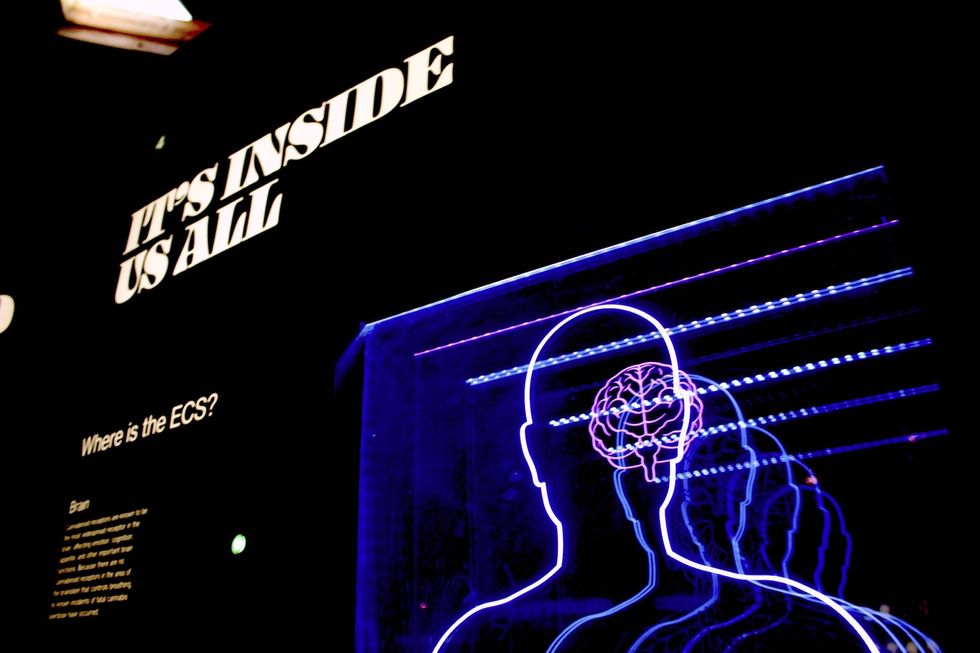 Photo of a panel made of LED lighting explaining the functioning of the human brain.