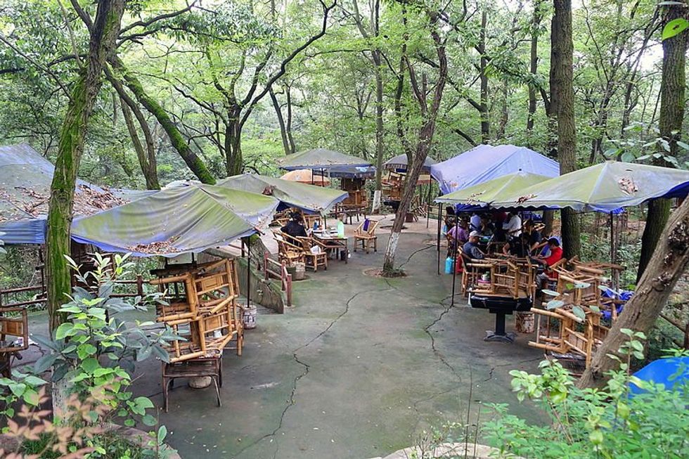 photo of a park with umbrellas