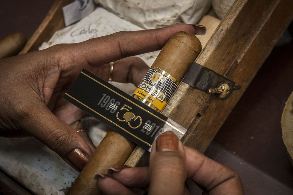 Photo of a person holding a cigar.