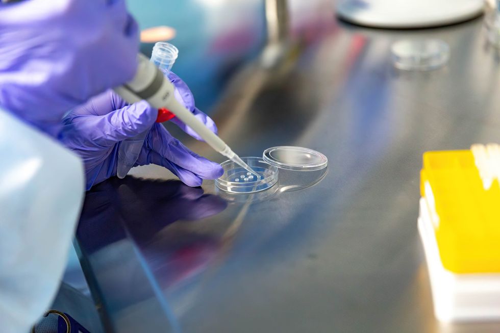 Photo of a person working at a fertility clinic