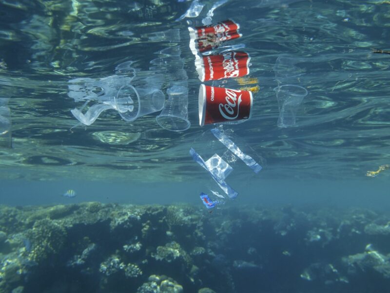 Photo of a plastic cup and plastic bags floating in the water in Sharm el-Sheikh, Egypt