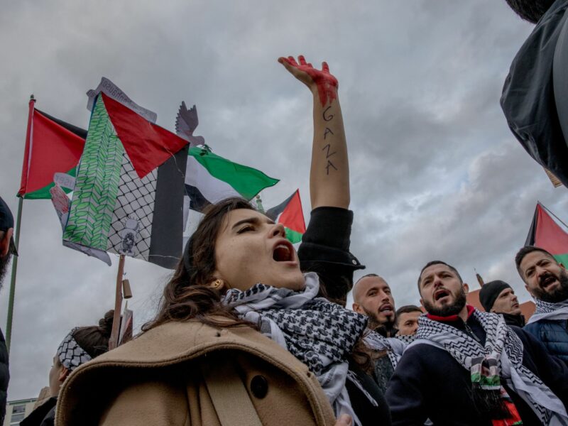 Photo of a pro-Palestinian demonstrator in Berlin