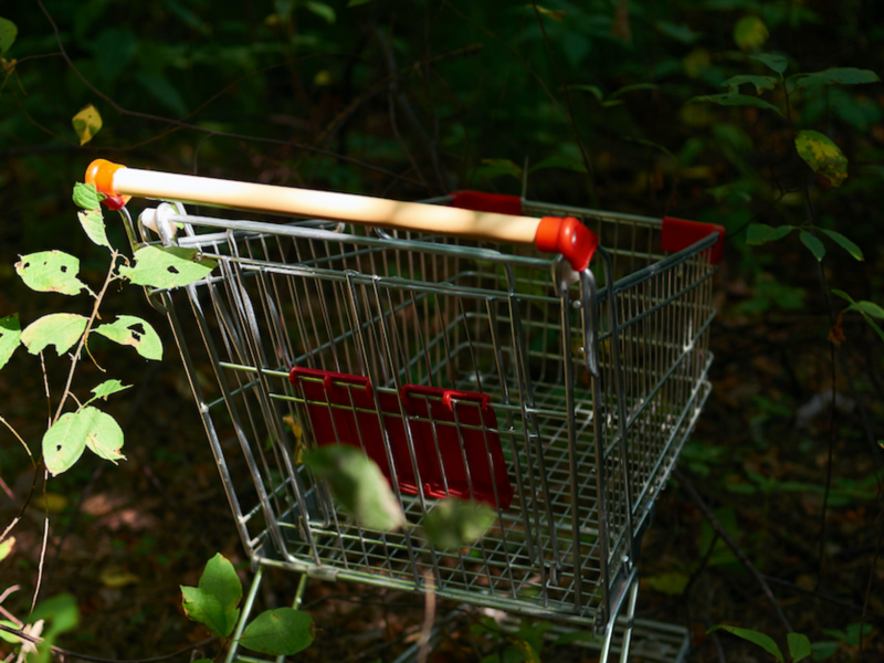 Photo of a shopping cart abandoned in the woods