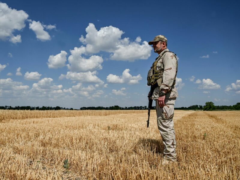 Photo of a soldier in a field in the Zaporizhzhia region