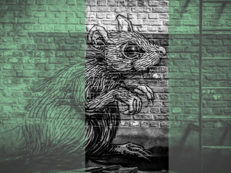 photo of a wall with a graffitied rat