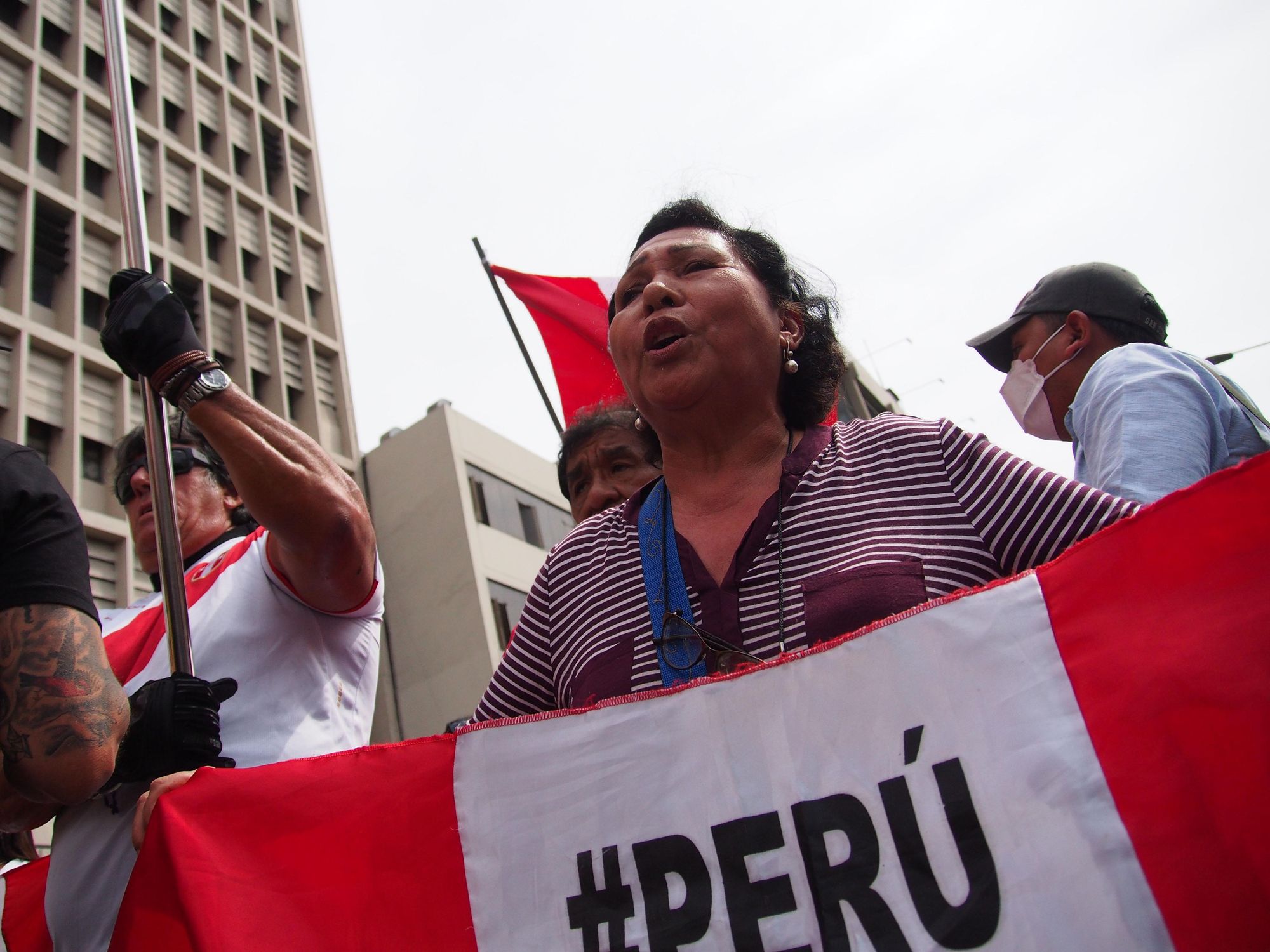 Photo of a woman carrying a flag of Peru at a protest celebrating the removal of President Pedro Castillo in Lima, Peru, on Dec. 7