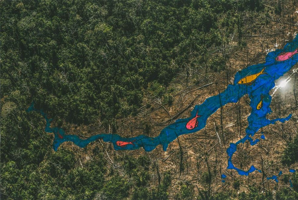 Photo of an aerial picture of rivers and forests with fish drawn on top