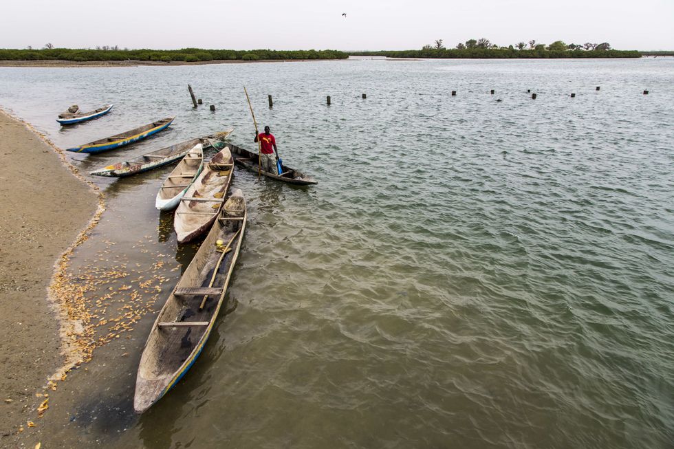 Photo of boats on the Saloun river in Senegal