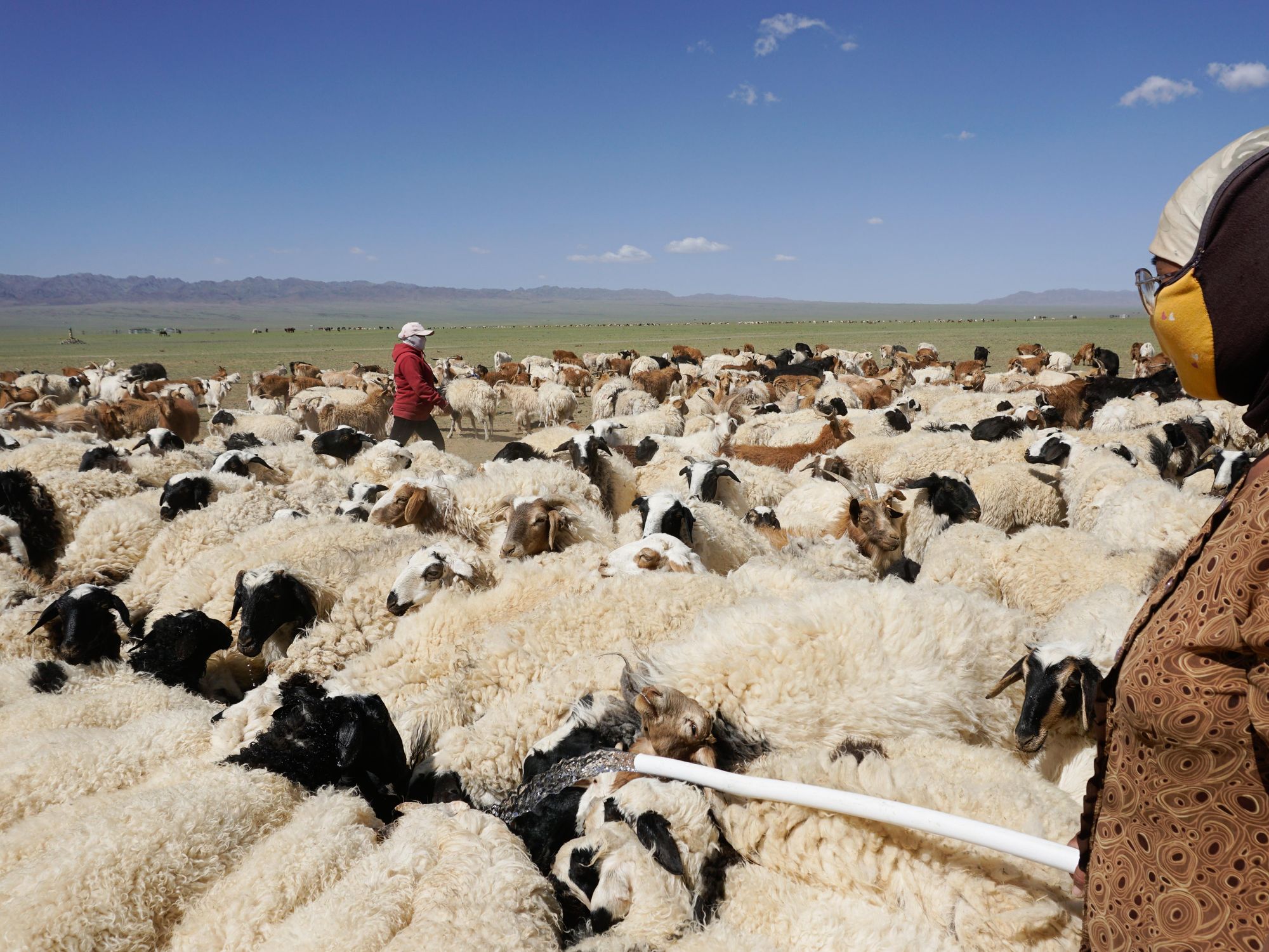 Photo of Bolortuya Bekh-Ochir, right, and Jargalsuren Tungalagzaya fill a trough with water for a herd of goats outside of Dalanzadgad, Umnugovi province, Mongolia, June 5, 2022.​
