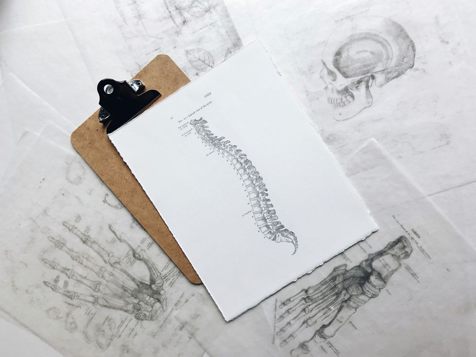 Photo of brown and black clipboard with white spinal cord print manual