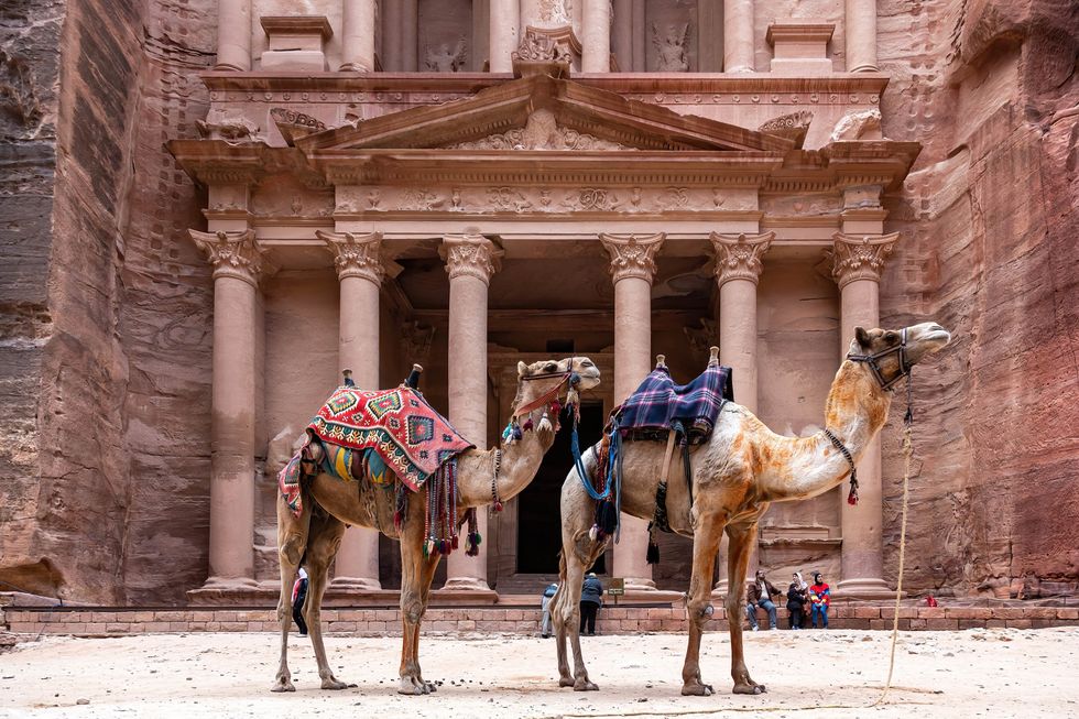 Photo of camels in front of The Treasury in Petra