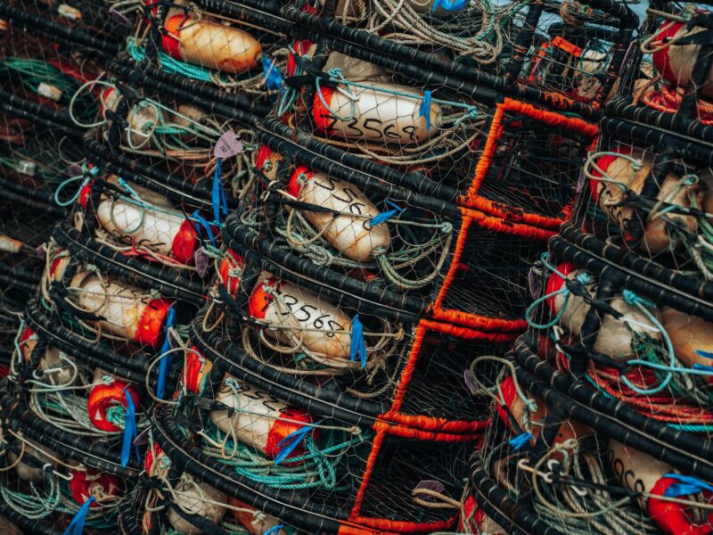 Photo of dozens of crab traps