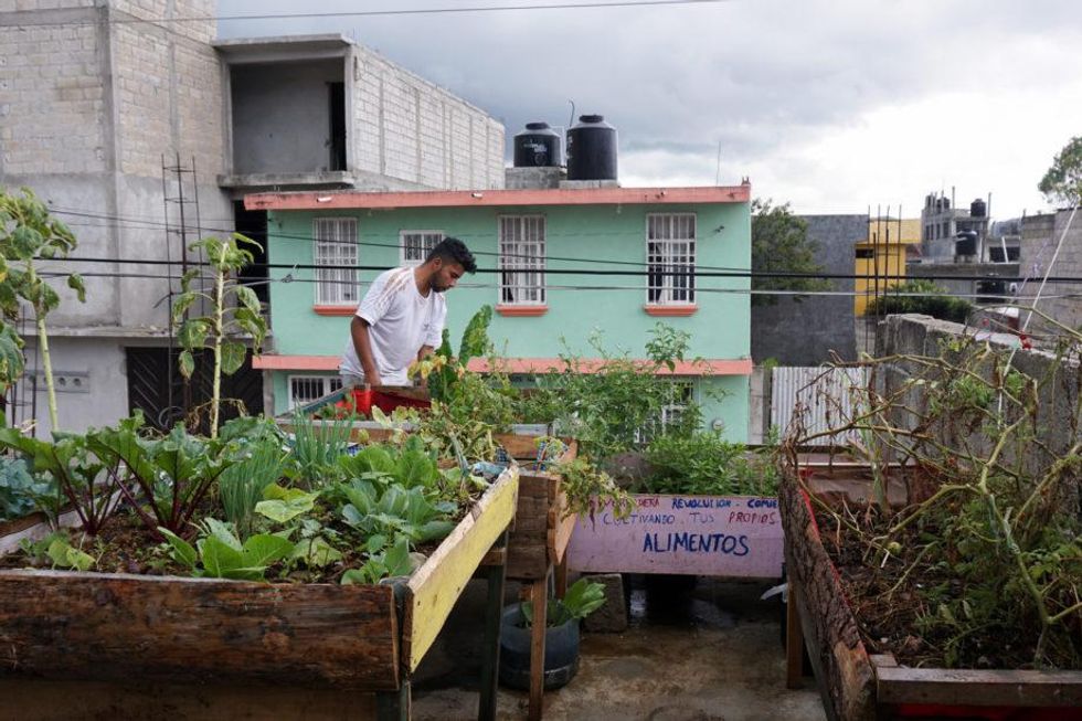 Photo of Geovanni Nájera Guzmán caring for planter boxes on the roof of El Semillero in San Cristóbal de Las Casas.