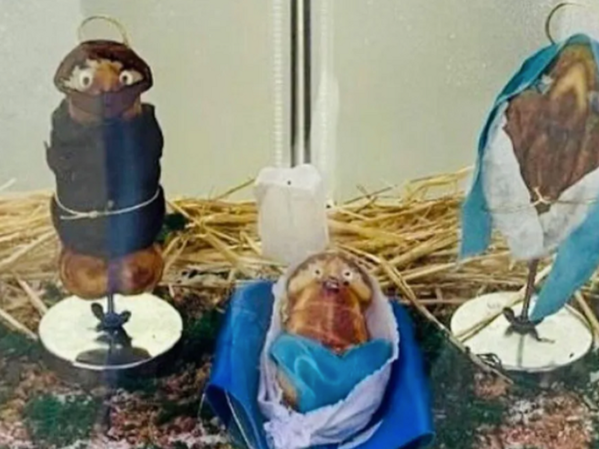 Photo of La Vergueria's erotic waffle nativity scene