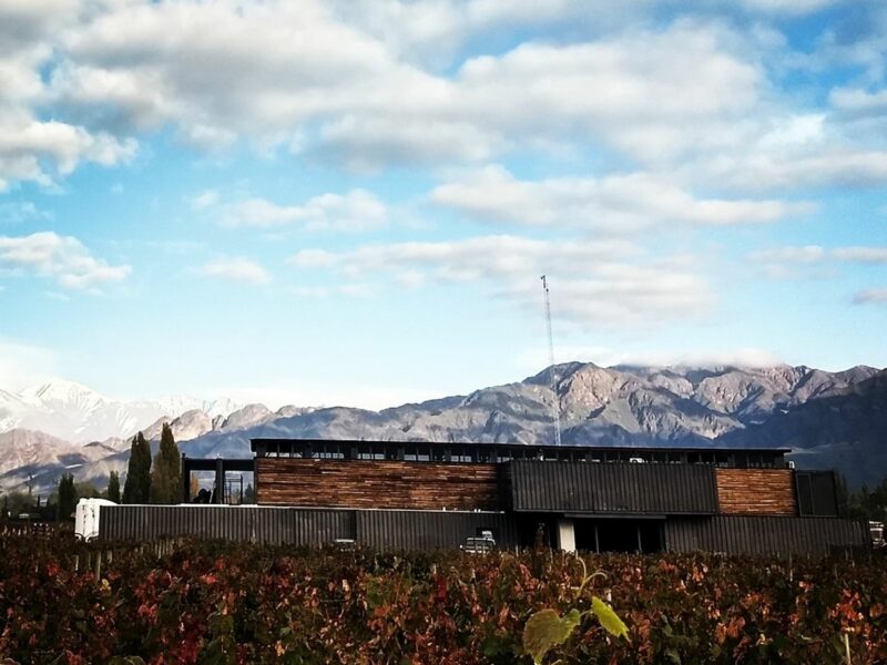 Photo of Maalwines' winery Las Compuertas, Mendoza, Argentina