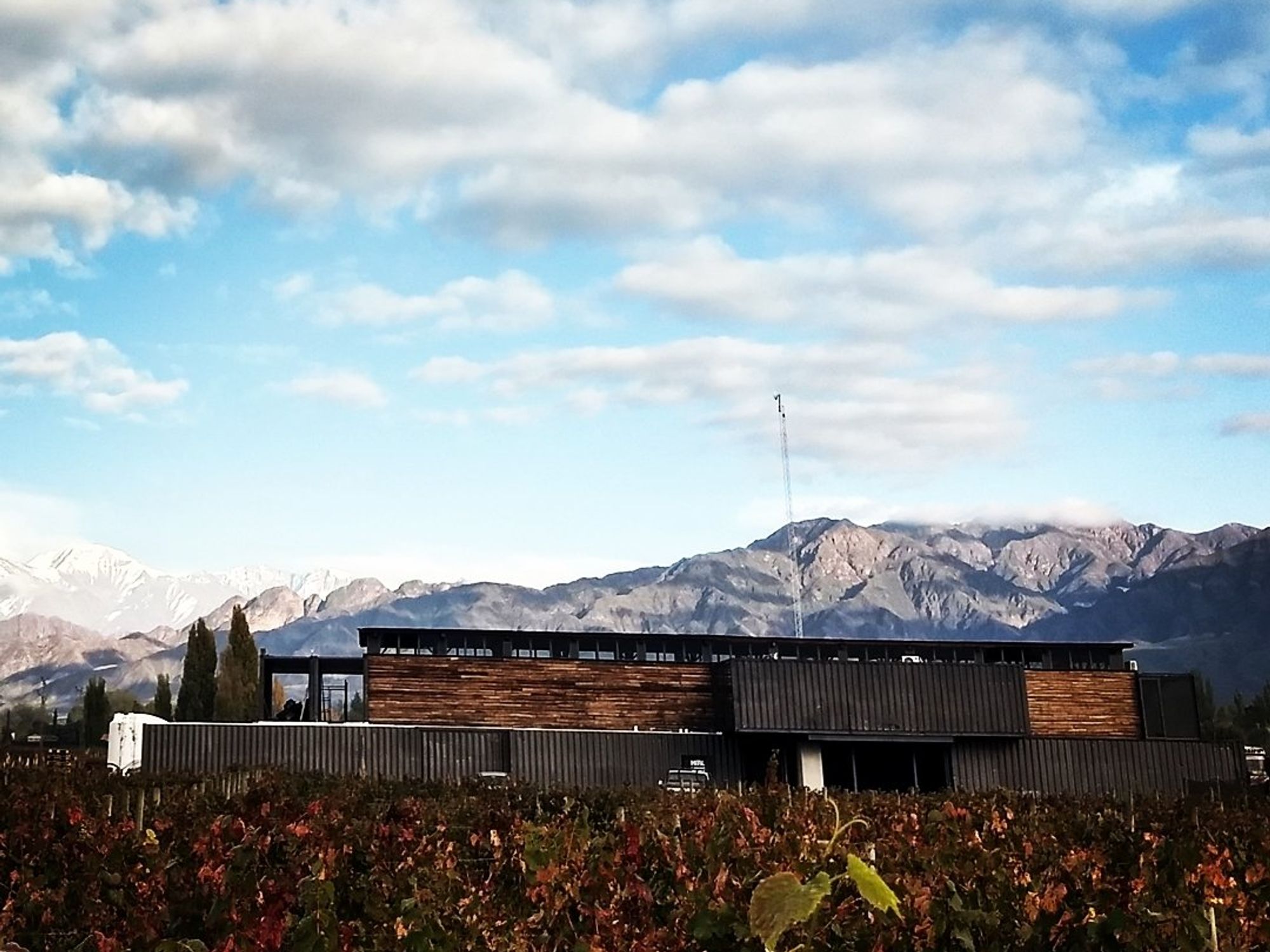 Photo of Maalwines' winery Las Compuertas, Mendoza, Argentina