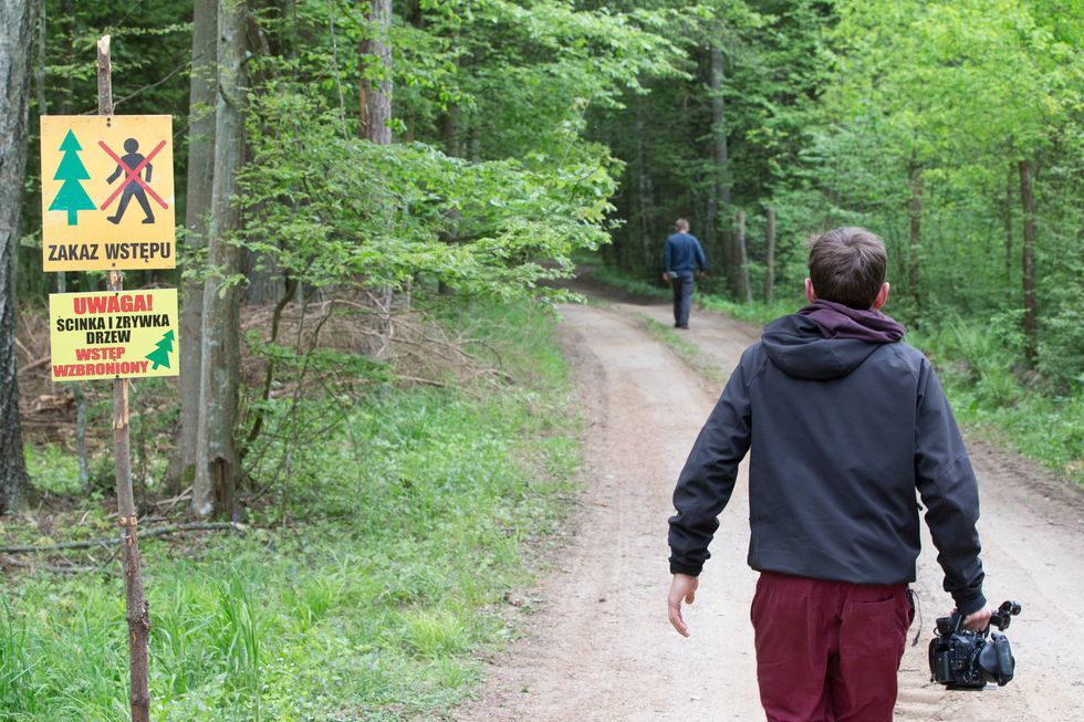 photo of men walking in a forest