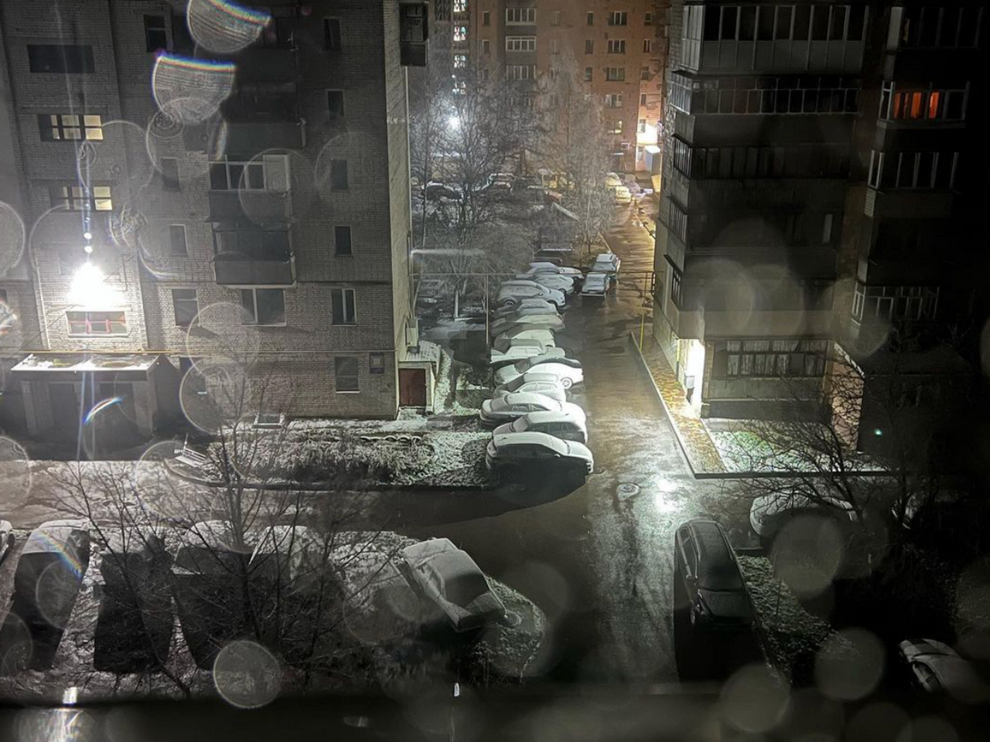 Photo of night time snow in Kyiv