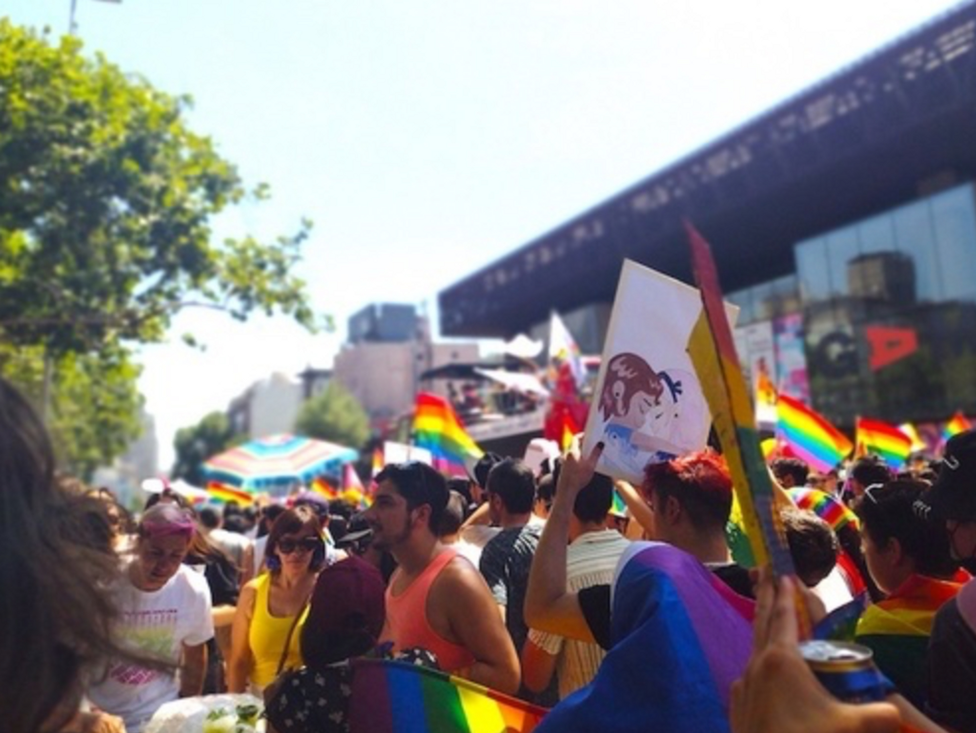 Photo of participants at the The 15th edition of the Santiago Parade, March for Equality