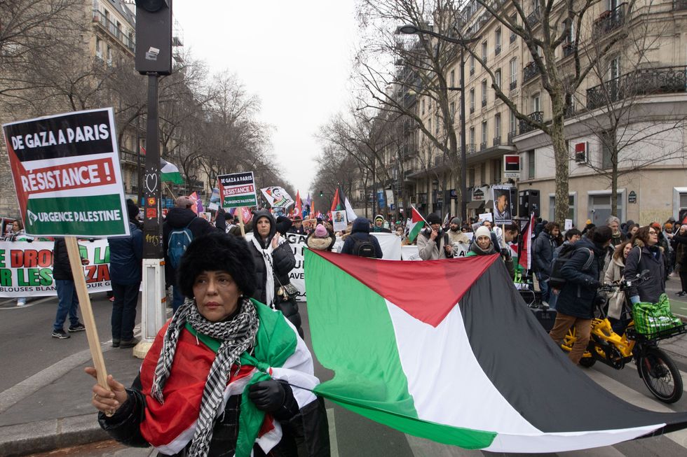 Photo of protesters carrying Palestinian flags and pro-Gaza signs in Paris, on January 13