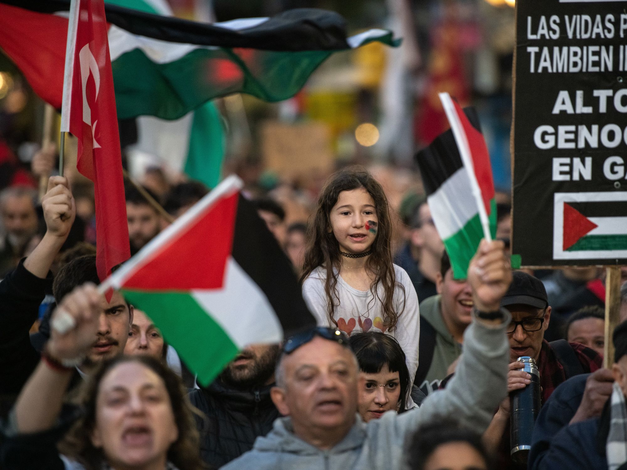 photo of protesters with palestinian flags