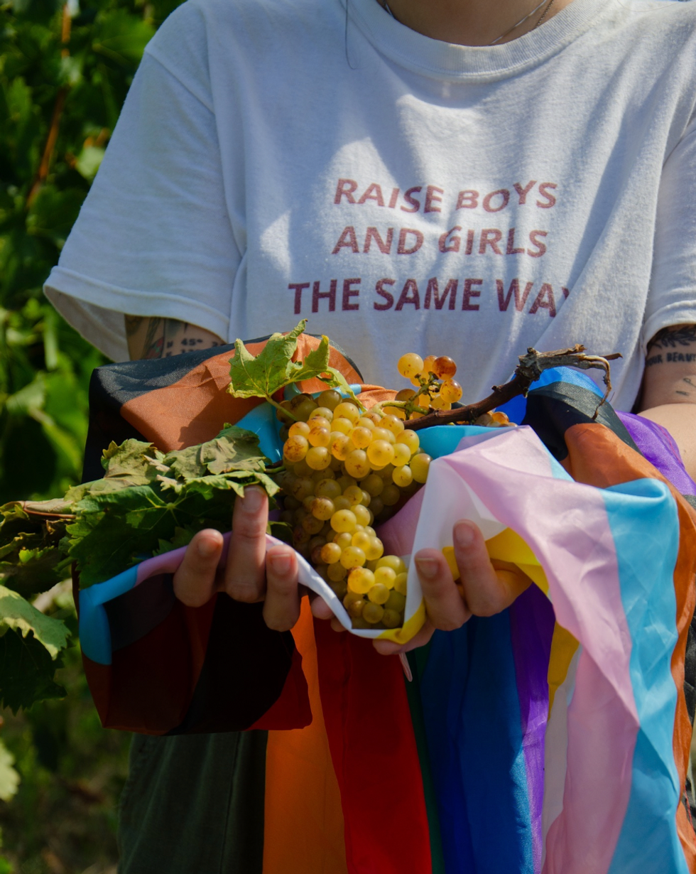 Photo of someone holding grapes wrapped in a rainbow flag