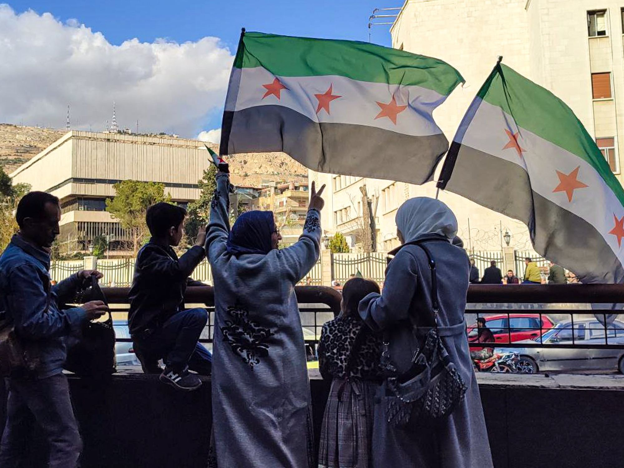 photo of syrian opposition flags