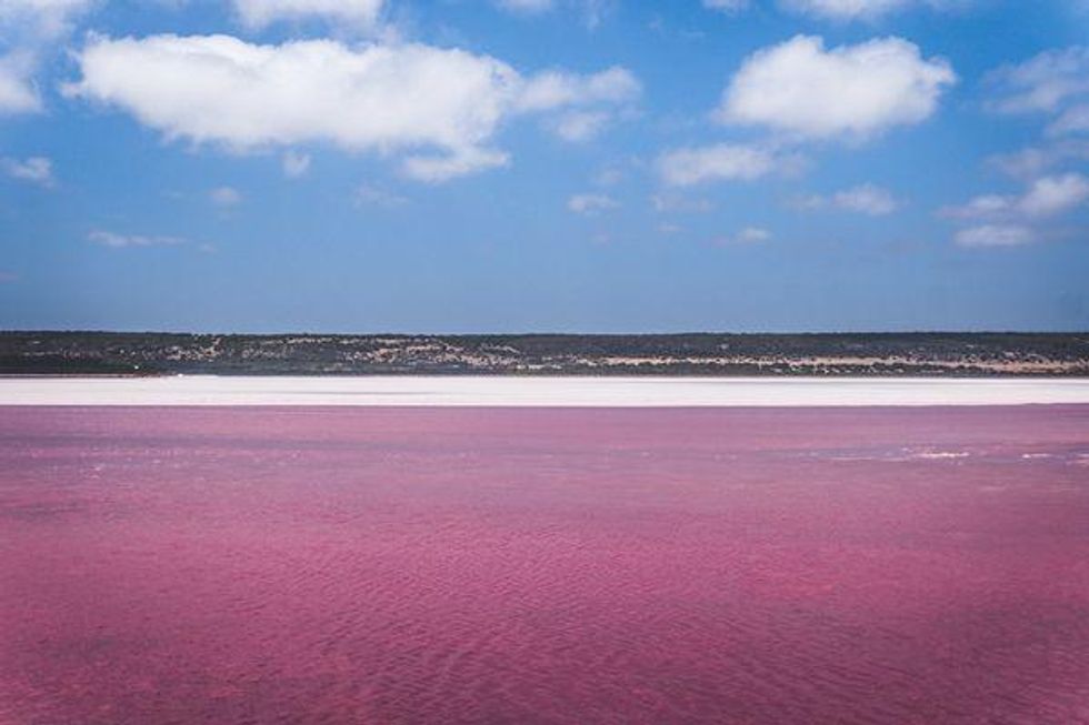 photo of the lake in July when it was pink
