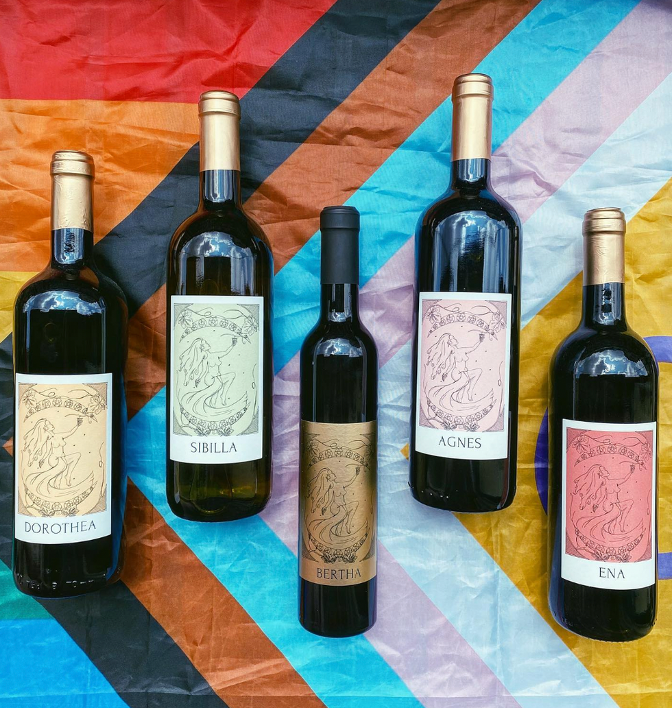 Photo of the wine bottles made on vineyard