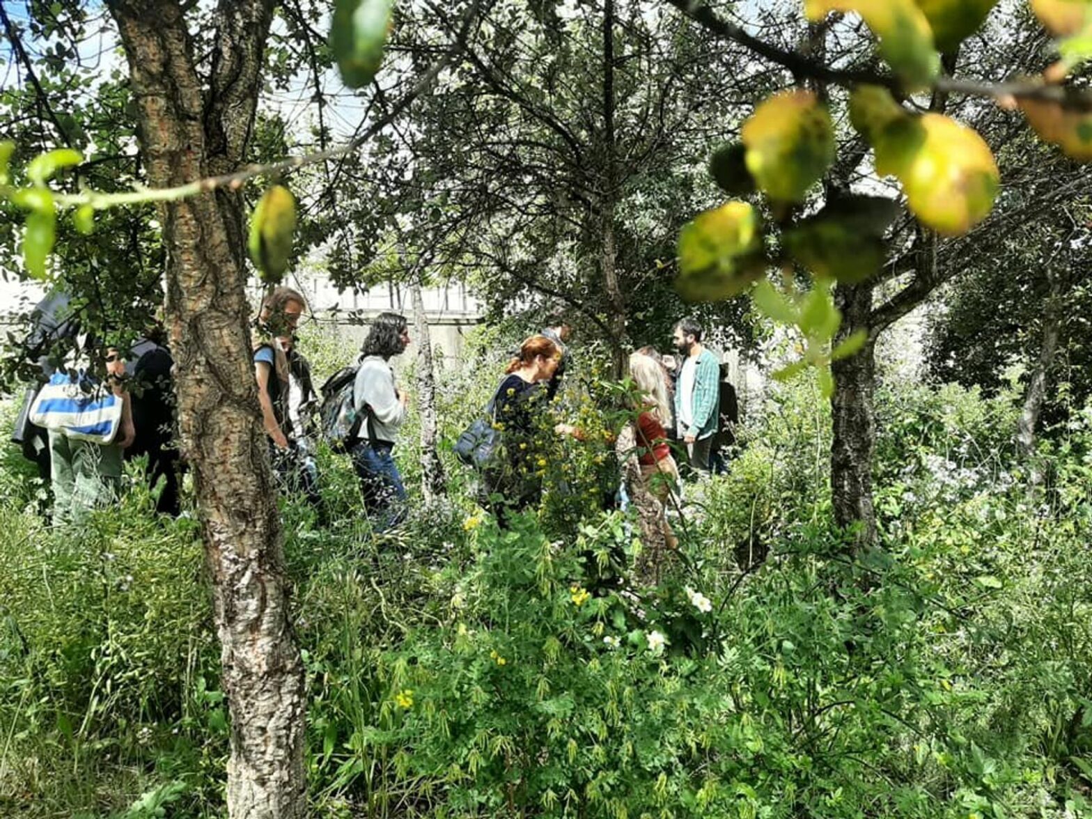 Photo of visit of Forest In The Middle Of Lisbon