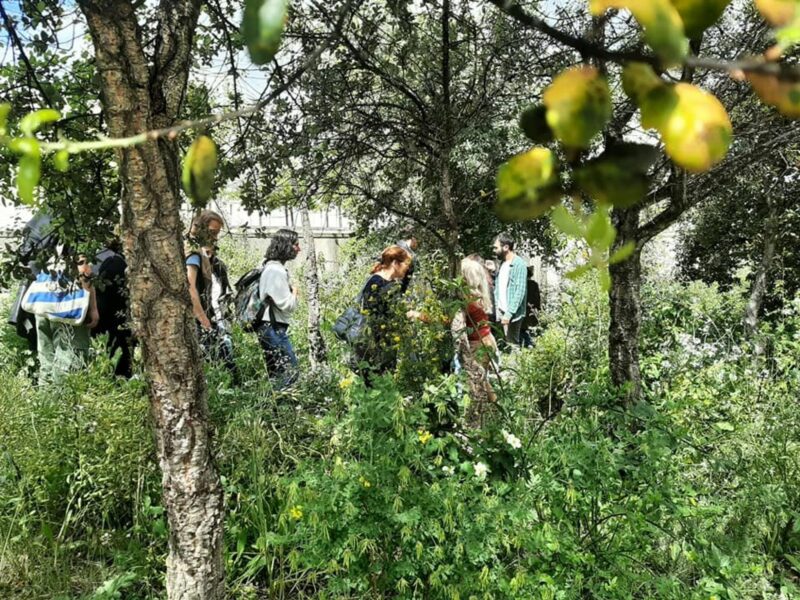 Photo of visit of Forest In The Middle Of Lisbon