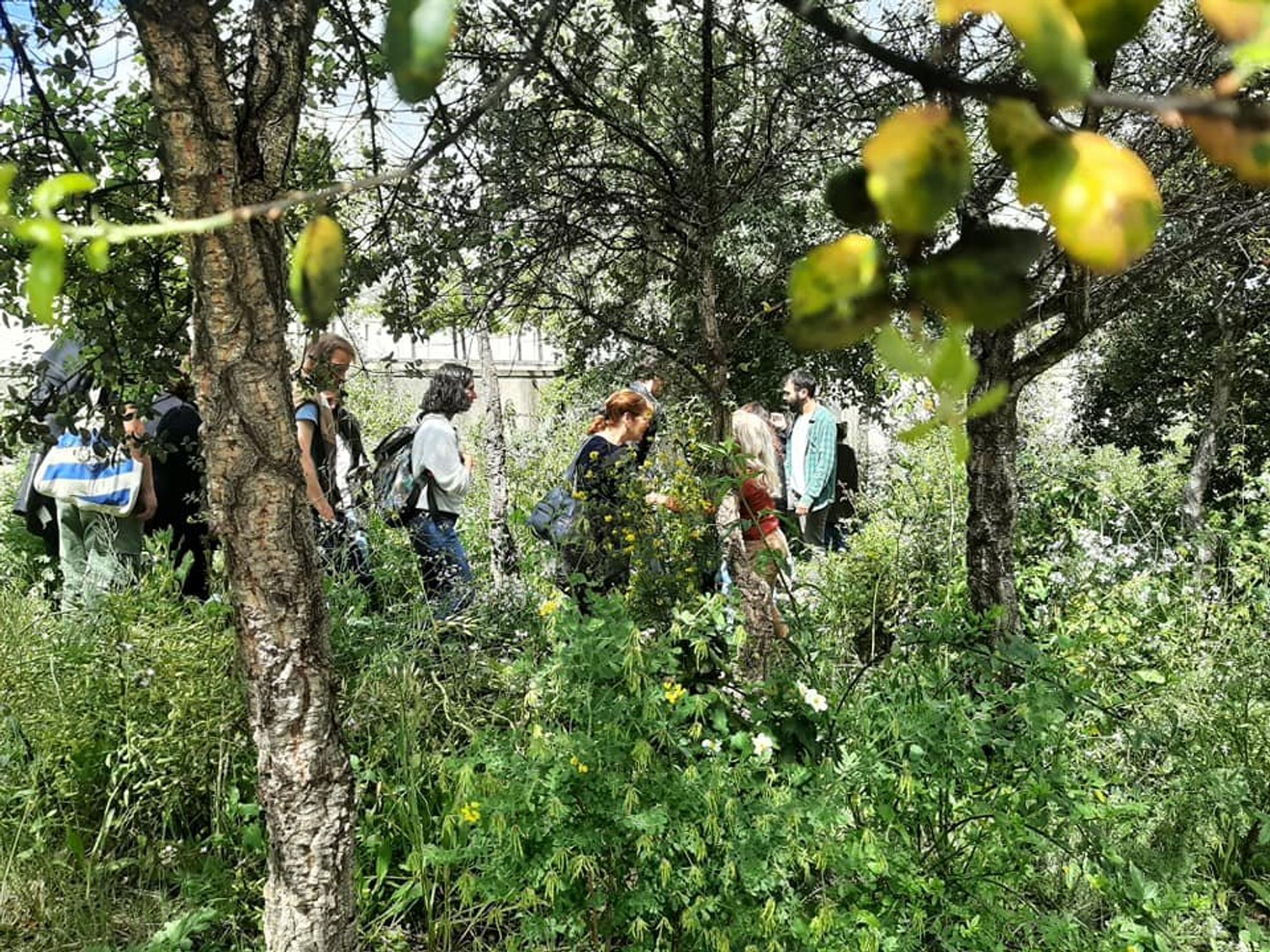 Photo of visit of Forest In The Middle Of Lisbon