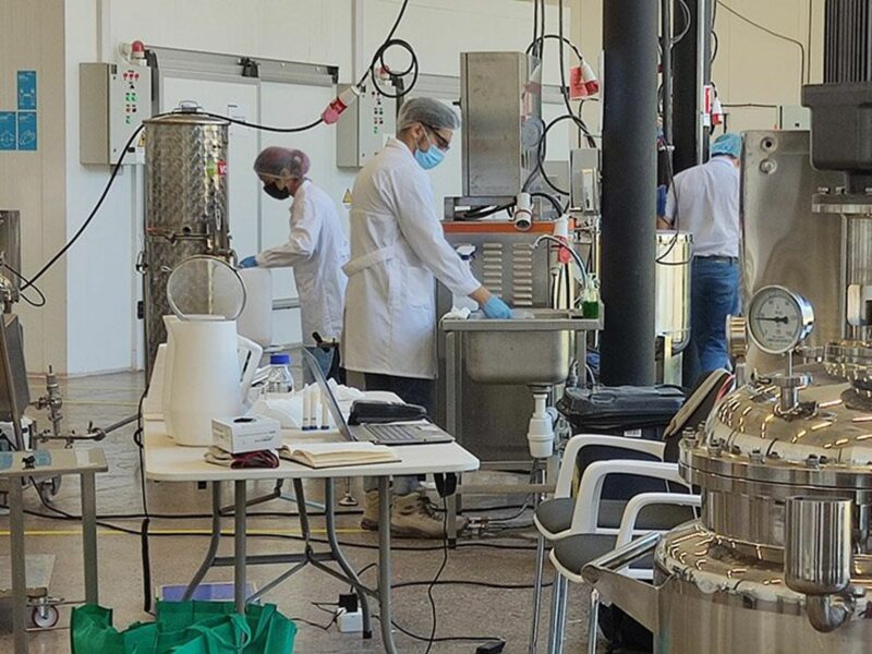 Photo of workers in plant
