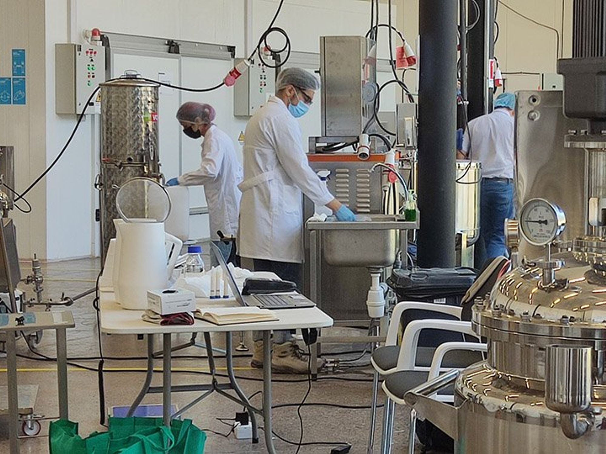 Photo of workers in plant