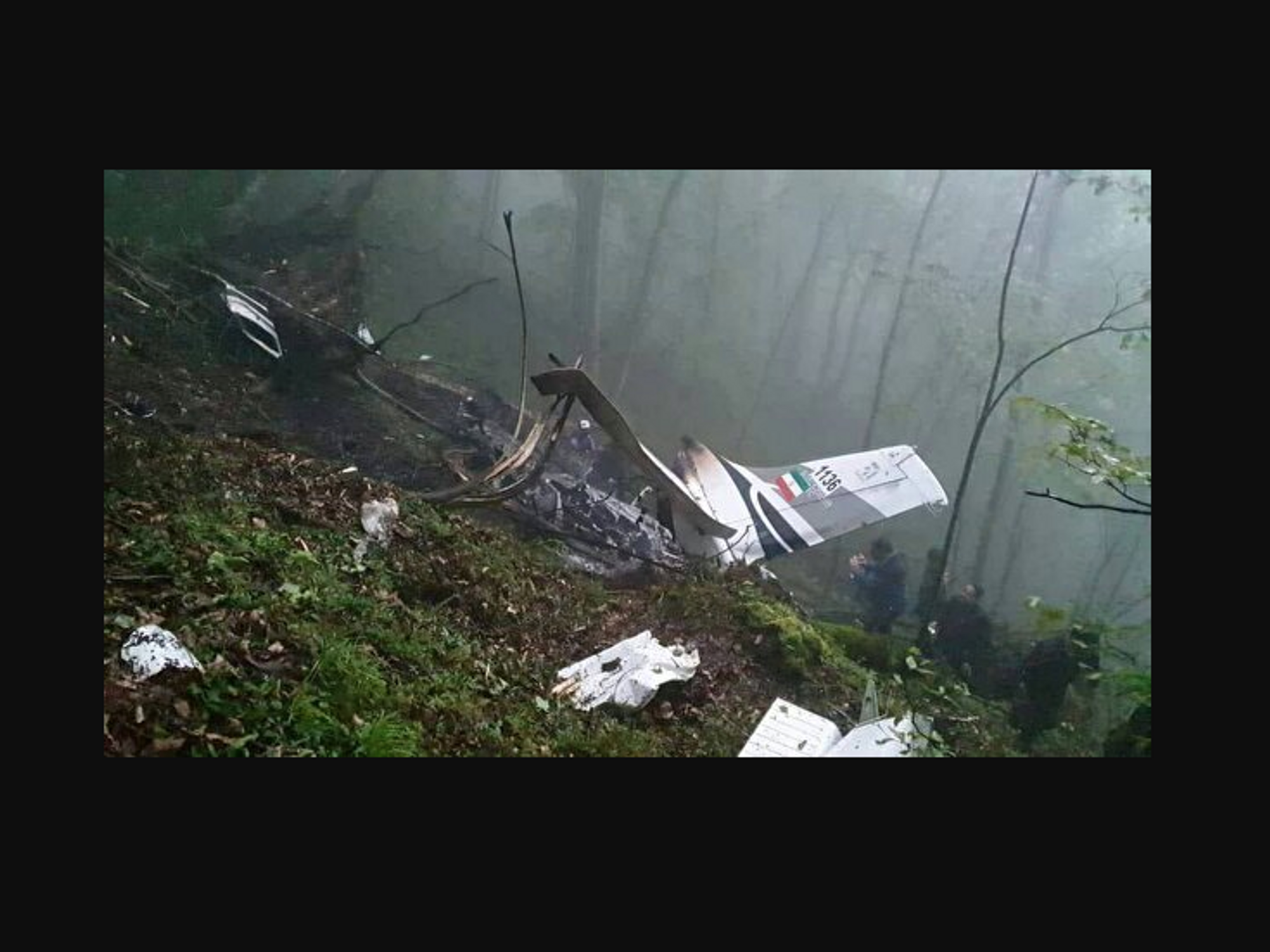 photo of wreckage in the woods