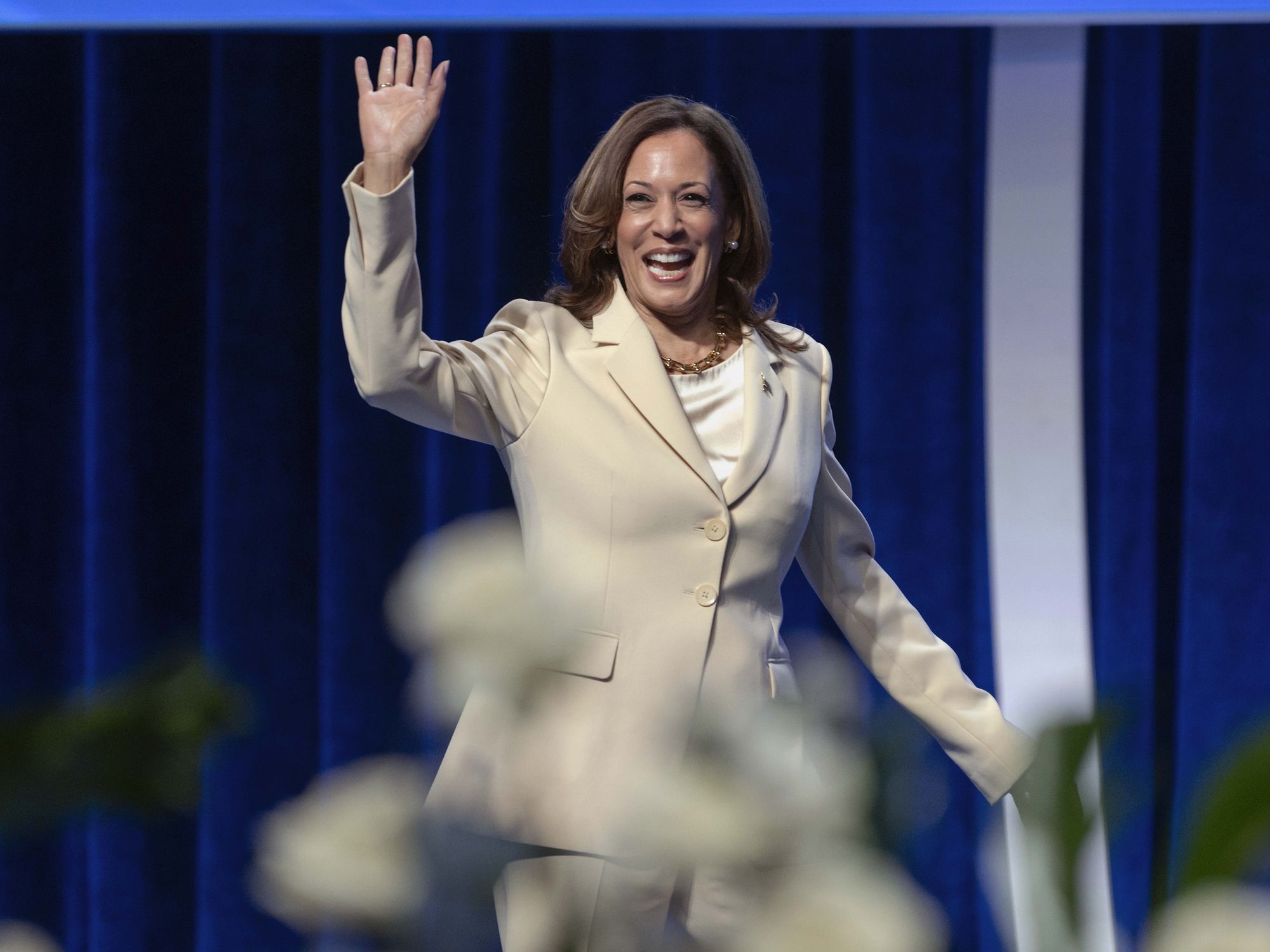 photo ok Kamala Harris smiling and waving