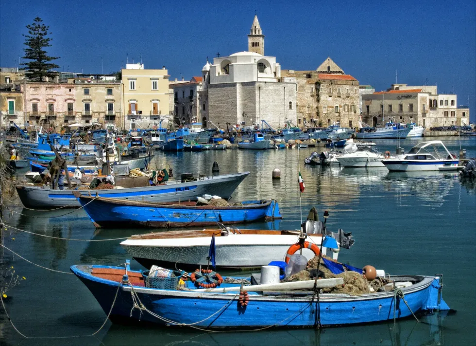 Photograph of a harbour with fishing boats and the Trani cathedral in background, in Puglia.