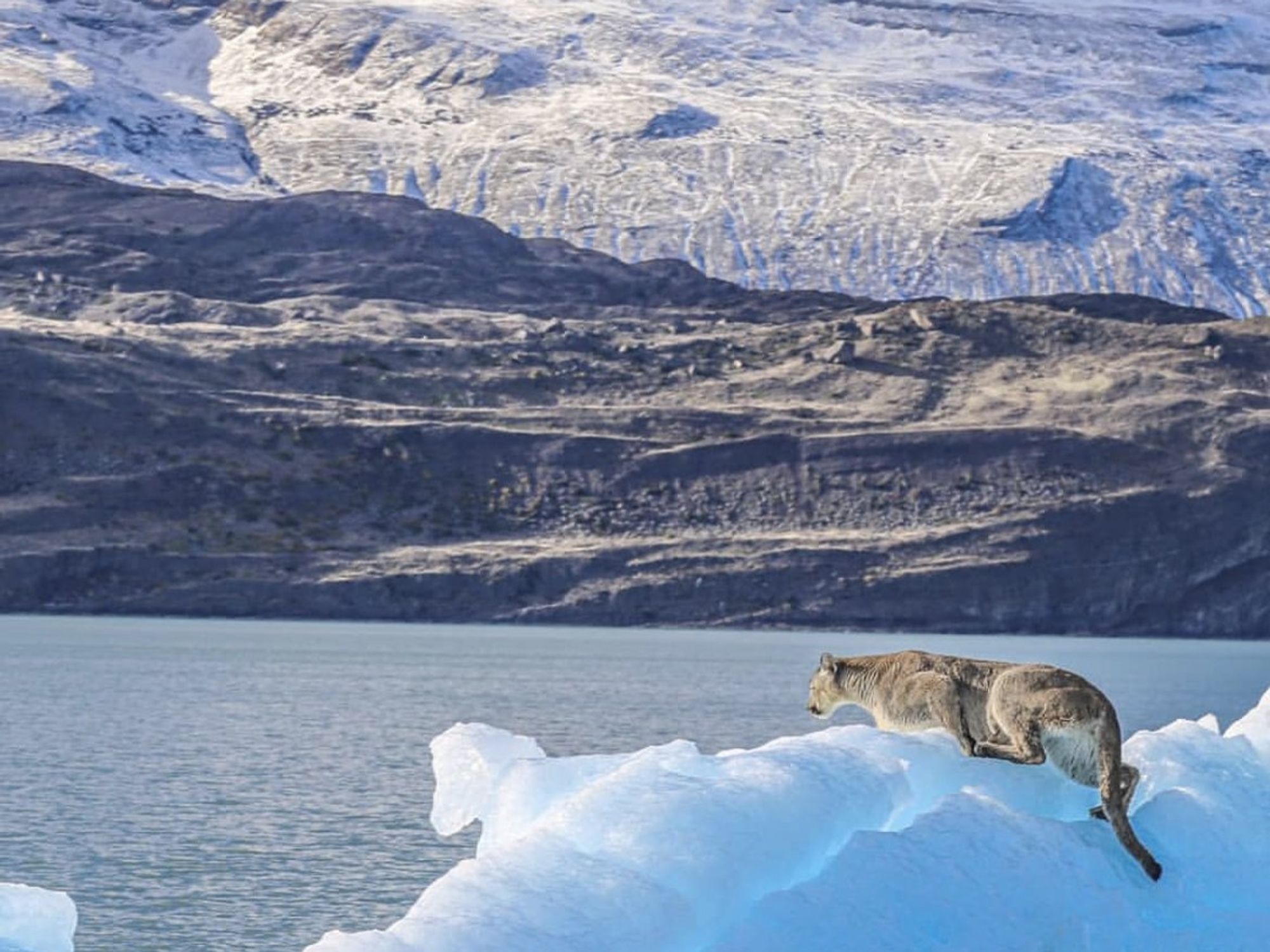 Photograph of ice and water taken in the Patagonian National Park