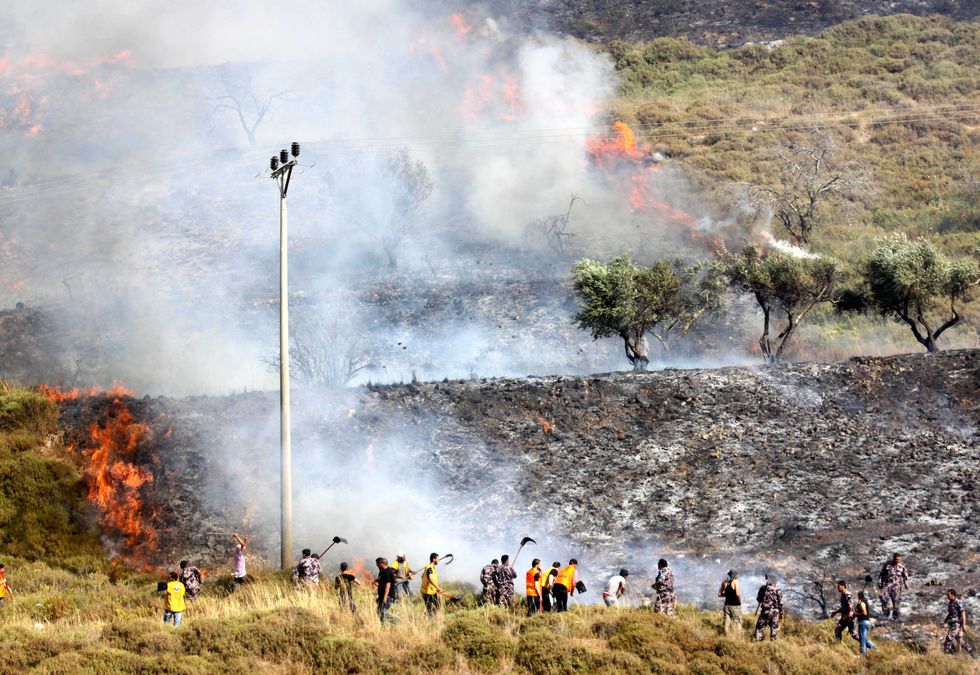 Photograph of Palestinian men trying to put out a fire burning through an olive grove